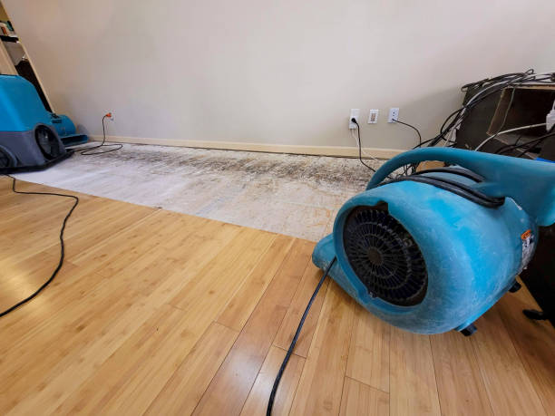 Professional Flood Damage Cleanup technician working in Wilmot, WI